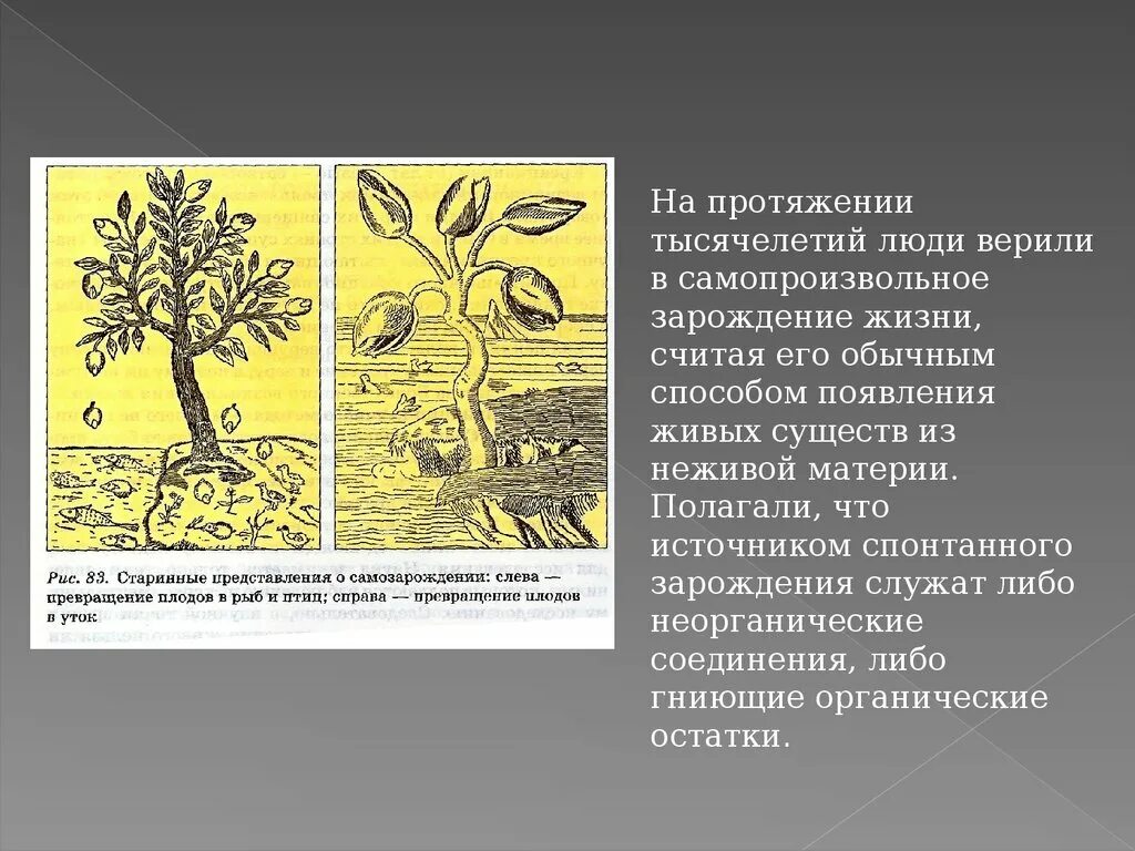 Гипотеза живое из неживого. Гипотеза спонтанного зарождения жизни. Теория самопроизвольного (спонтанного) зарождения. Теория спонтанного зарождения жизни жизни. Теория самопроизвольного зарождения жизни на земле.