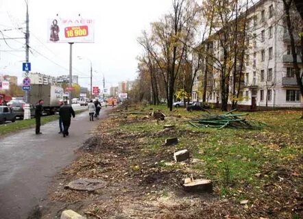 Щелковское шоссе в область новости