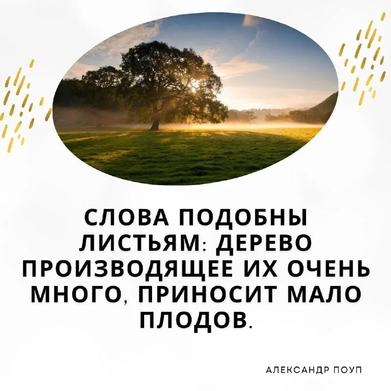 Цитаты в телеграм. Цитаты в телеграм