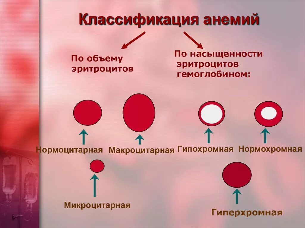 Анемия количество эритроцитов. Классификация анемий по эритроцитам. В12 анемия гипохромная. Классификация анемии по количеству эритроцитов. Анемия классификация показатели крови.