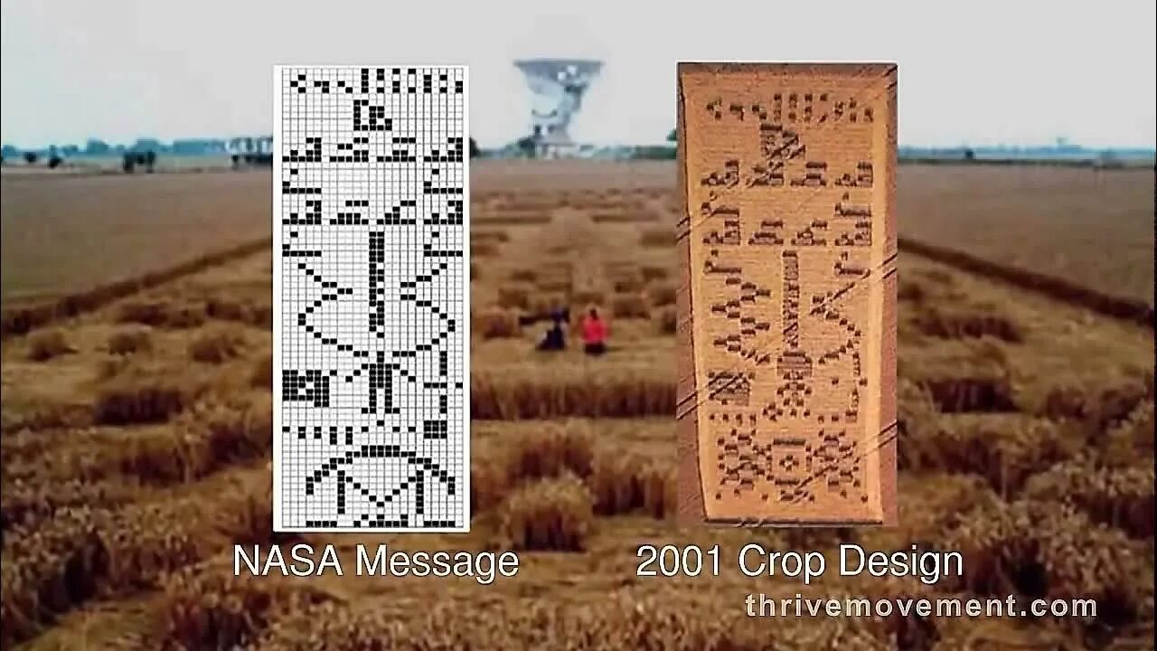 Замена ошибочных полей в бланке ответов. Бланк ответов для команд. Мат поле брани. Игра поле чудес автомобиль. Ответы на поле.