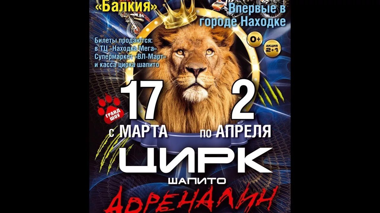 Цирк находка. Цирк адреналин. Цирк шапито в Находке. 2017 Г цирк находка.