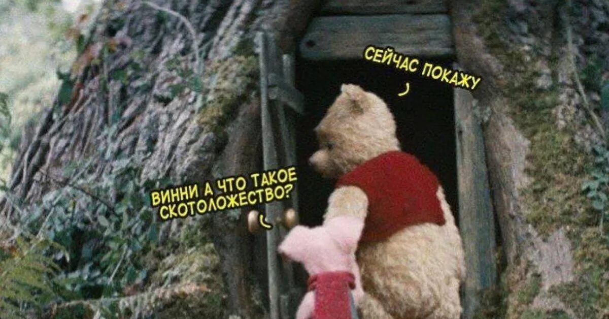 Нас без сомнения ждут. Приключения ждут. Нас без сомнения ждут приключения. Приключения прикол. Нас без сомнения ждут.