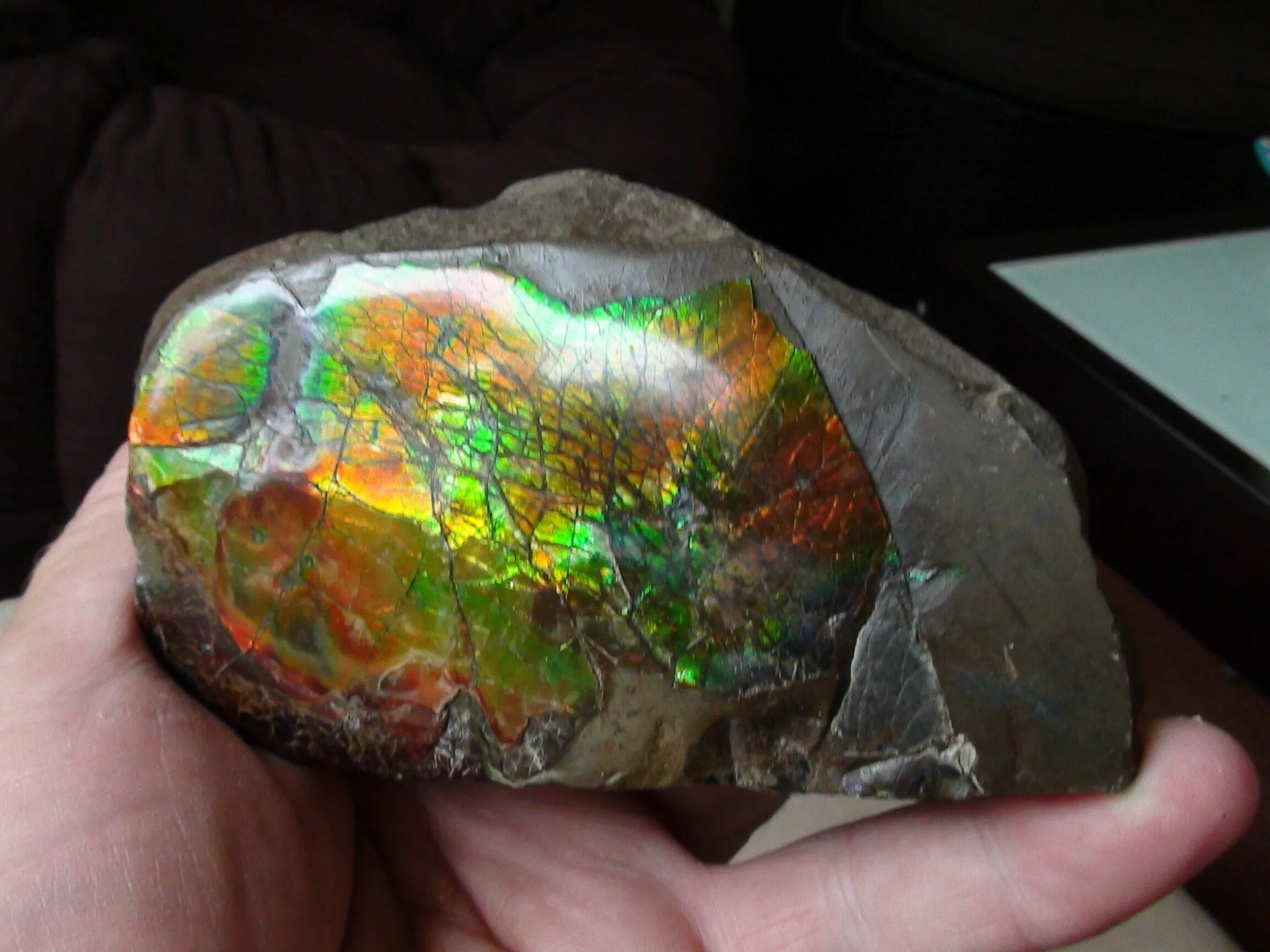 Реактор опал австралия. Heart shaped cutted australian opal. Поиск опала австралия. Болдер опал кольцо. Опал «австралийский олимпийский».