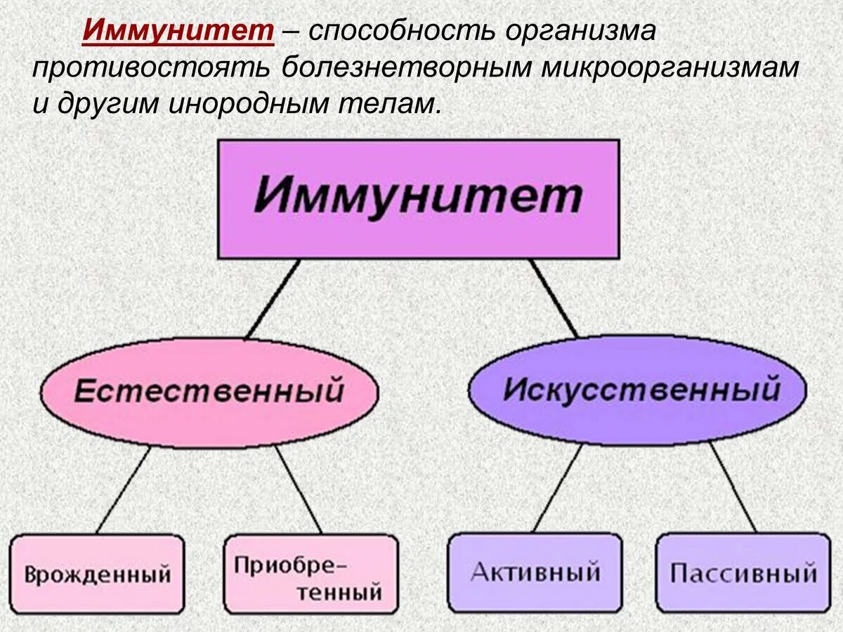 Иммунитет. Иммунитет определение. Иммунитет презентация. Иммунитет это кратко.