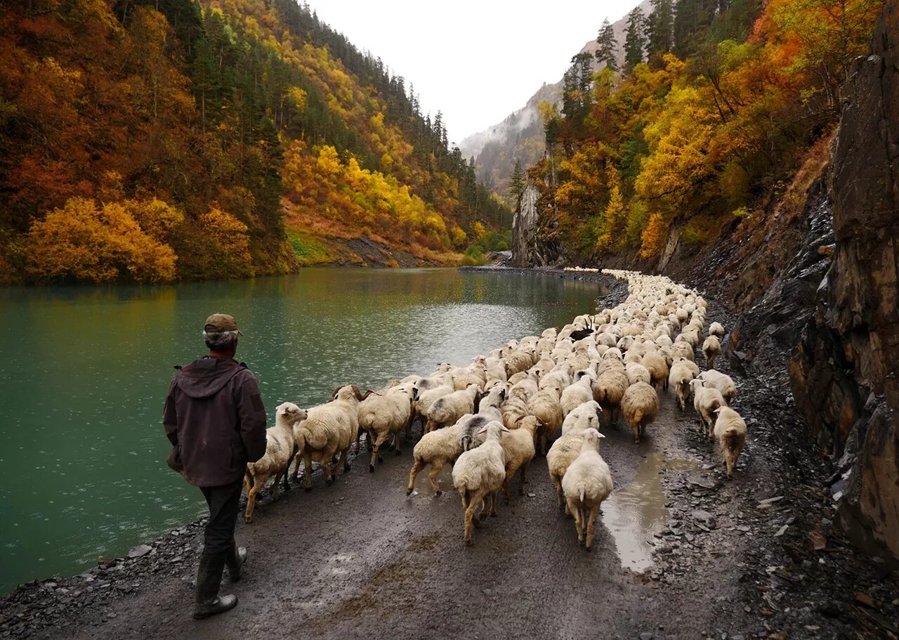 Пасет город. Озеро коз в Южной Осетии. Чабаны в Грузии. Тушети, Грузия. Пастухи. Цхинвал озеро коз Южная Осетия.