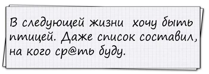 Кем станешь в следующей жизни. В следующей жизни хочу стать птицей даже список. В следующей жизни хочу стать птицей даже список составила. В следующий жизни я стану птицей. В следующей жизни хочу стать птицей.