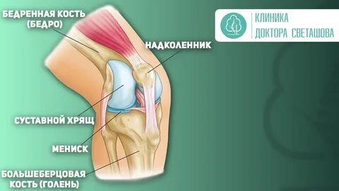 Возможные движения в коленном суставе