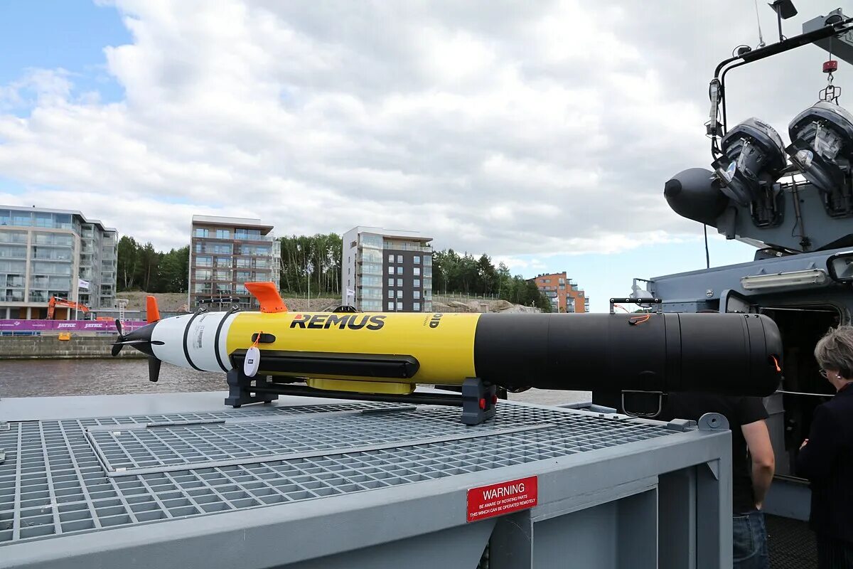 Remus 600. АНПА Remus-100. Подводный аппарат Remus 100. Remus 100 AUV (remus100.m). АНПА Remus 6000.