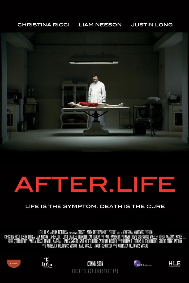 Year after life. Жизнь за гранью (after.Life), 2009.