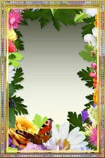 Рамка для проекта а4