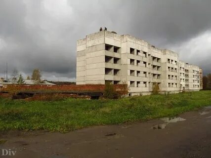 Погода тарасово тосненский ленинградской