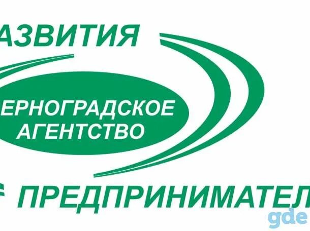 Агентство развития бизнеса. Логотип бухгалтерские услуги картинки. Агентство развития бизнеса логотип. Агентство по предпринимательству МСП.