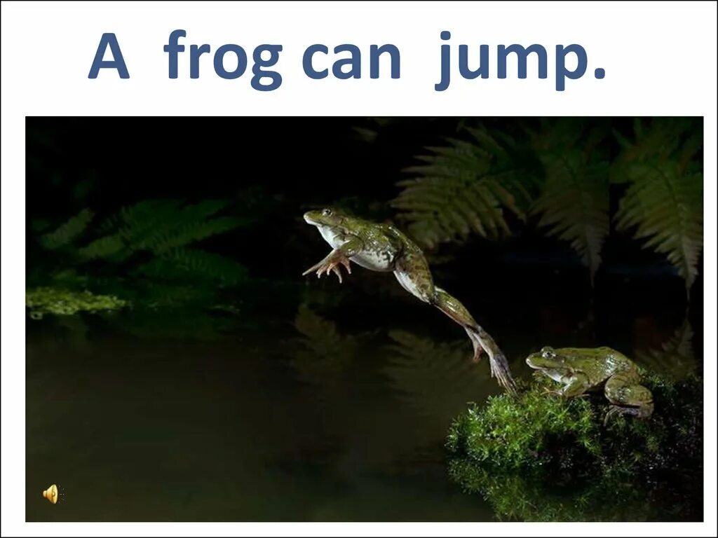 Jump like a frog sing dance. A Frog can Jump. Frogs can. The Frog can Jump картинка. Frog can Jump Spotlight 2.