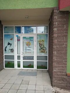 Кот матроскин нижний новгород