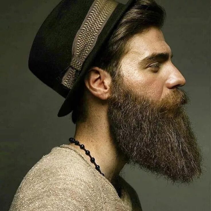 Barbu. Телбеген сакал. Мужская борода. Бородатый мужчина. Мужчина с бородой в профиль.