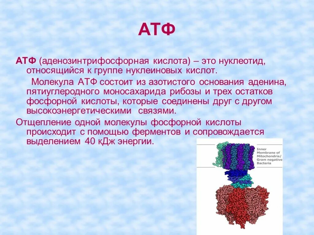АТФ. Молекула АТФ. Структура АТФ биохимия. АТФ это в биологии.