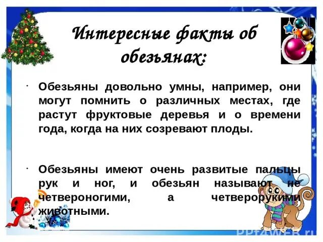 Интересные факты про обезьян. Интересные факты о обезьянах 3 класс. Интересные факты про обезьян для детей. Интересные факты о мартышках.