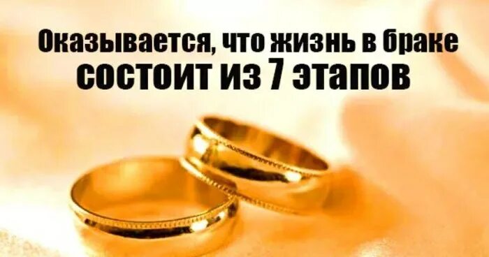 Жизнь в браке состоит из 7 этапов.. Состою в браке. Стадии семейной жизни и любви в супружеской жизни. 7 Этапов отношений в браке.