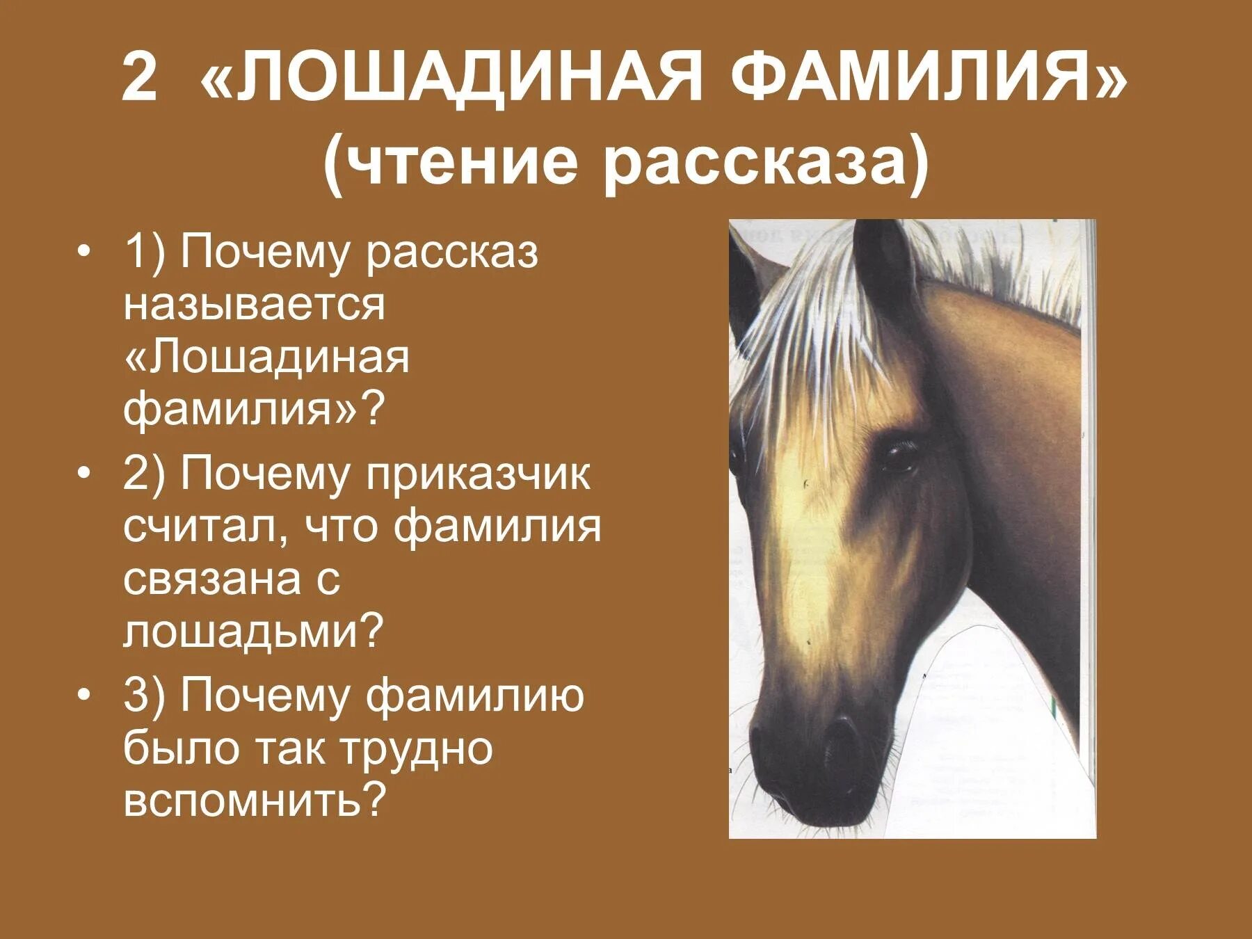 Сколько лошадиных фамилий. А.П.Чехов Лошадиная фамилия вопросы. Презентация иллюстрация к рассказу Лошадиная фамилия. Фамилии связанные с лошадьми. Лошадиная фамилия Чехов презентация.