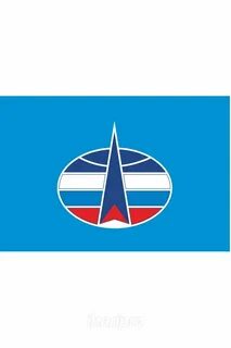 Эмблема космических сил