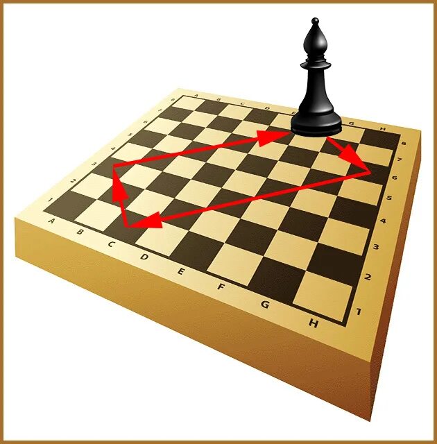Шахматная доска 5 на 5. Слон на шахматной доске. Шахматная доска виниловая. Шахматная доска для слепых. Размер шахматной доски.