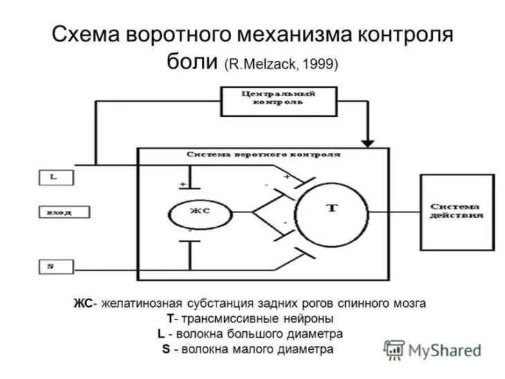Нисходящий контроль