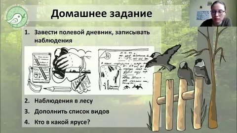 Пиши наблюдение