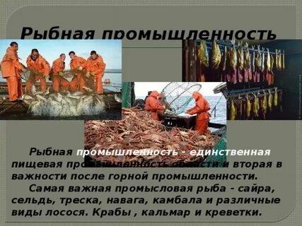 Рыбная отрасль специализации