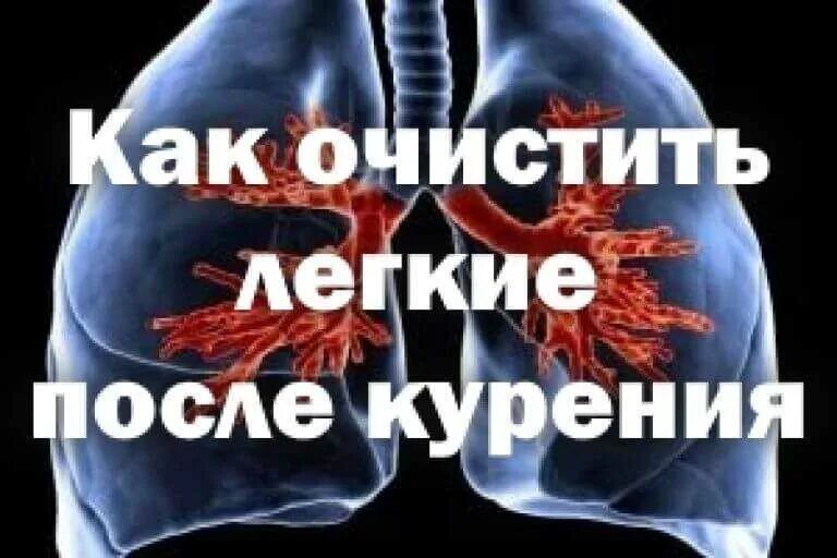 Легкие после того как бросил курить. Лёгкие после отказа от курения. Очистить легкие после курения. Легкие курильщика восстановление после отказа.