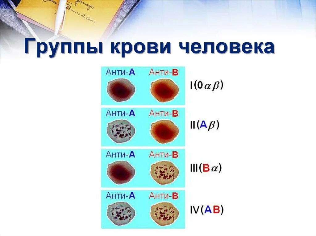 Золотая группа крови это. Группы крови человека. Кровь группы крови. 0 Группа крови Золотая.