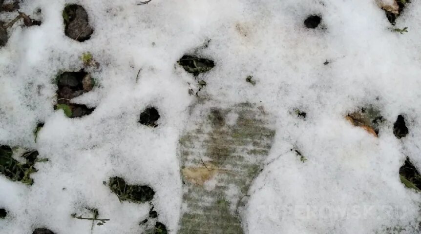 Град в Омской области. Первый снегопад. Снегопад в Омске. Первое снегом. В омске выпадет снег