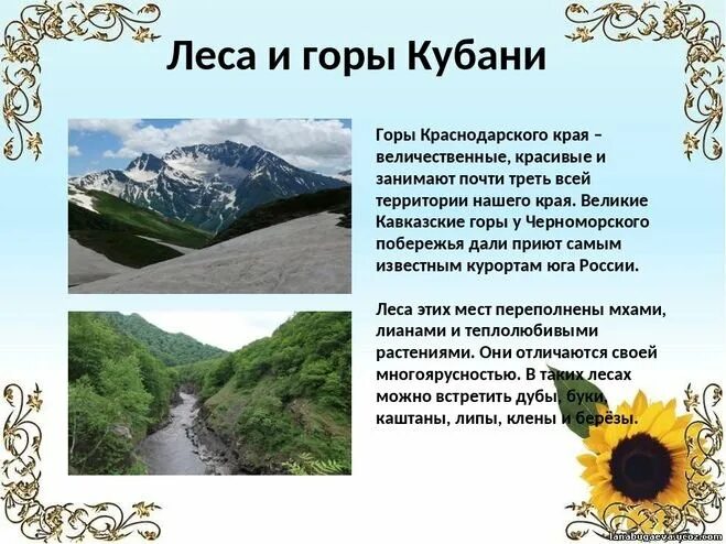 Кубановедение страница 29