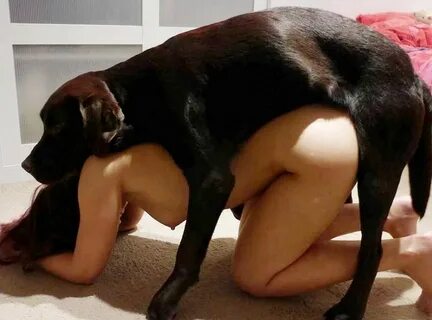 порно женщин с большими собаками.