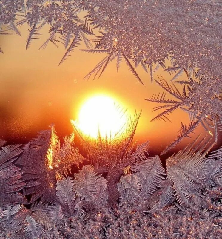Яркое зимнее солнце заглянуло. Солнце зимой. Морозное солнечное утро. Солнце в морозный день. Снег и солнце.