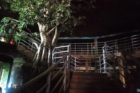 Зоопарк в туле в белоусовском