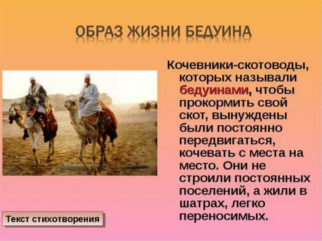 Какие есть кочевые народы. Основные занятия кочевников. Кочевники бедуины. Образ жизни кочевников. Кочевники скотоводы картина.