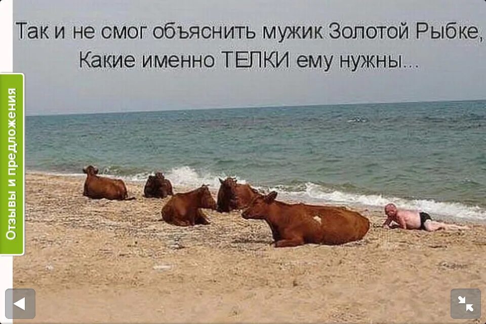 Натуристы Приколы