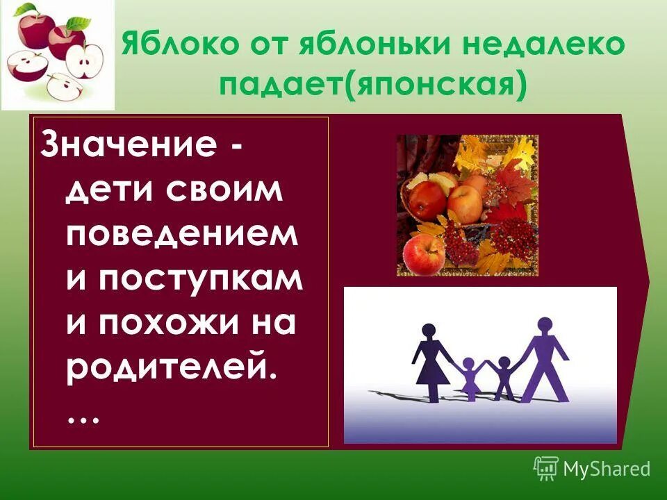 Яблоко от яблоньки недалеко падает. Яблочко от яблони недалеко падает. Пословица яблоко от яблони. Яблоко от яблоньки недалеко падает смысл. Яблоня от яблони далеко не падает