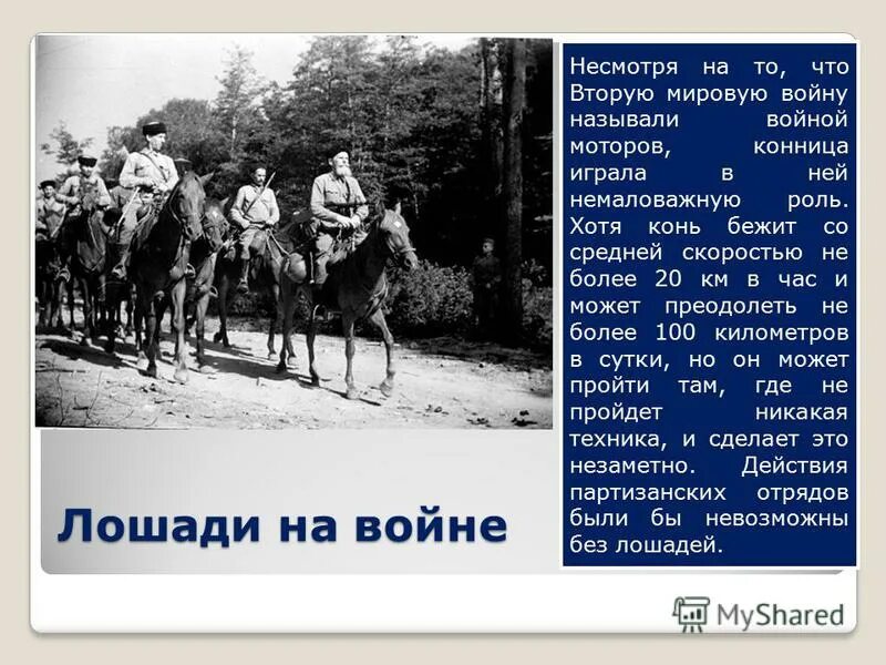 н. манас. хотя кони наши были довольно бойки. самокиш николай семенович тройка. атака на лошадях во время войны.