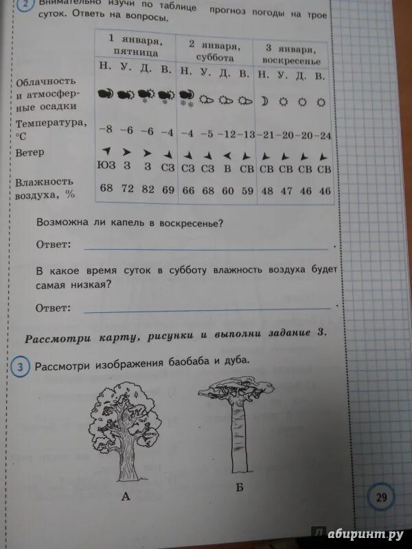 Впр по окружающему волкова ответы. ВПР 4 класс окружающий мир Волкова Данилова. Типовые задания по окружающему миру. ВПР окружающий начальная школа. ВПР окружающий мир начальная школа.