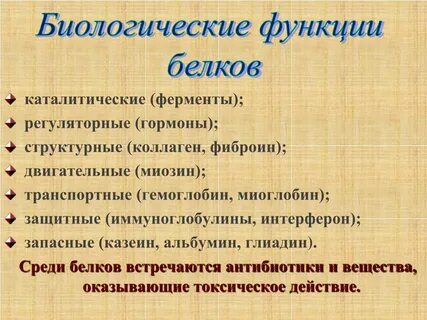 Католическая функция белков