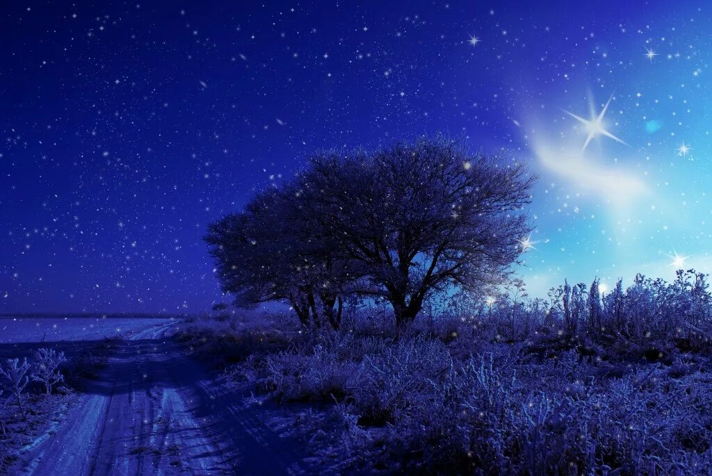 Зимнее ночное небо. Ночное небо со звездами. Красивая ночь. Небо ночью. Звезды ветер ночь