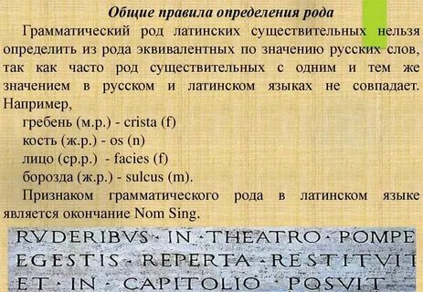 Как определить род существительных в латинском языке