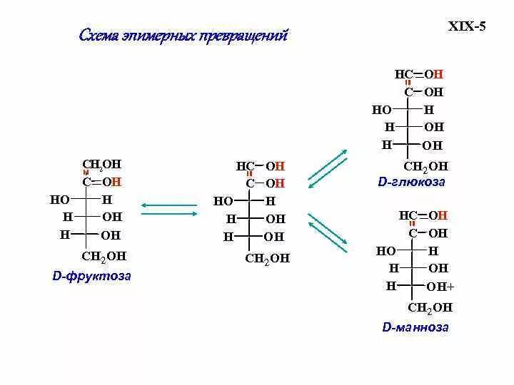 Эпимеры моносахаридов. Эпимер манноза. Эпимеры рибозы. Эпимеризация моносахаридов в щелочной среде на примере d-ксилозы. Фруктоза манноза