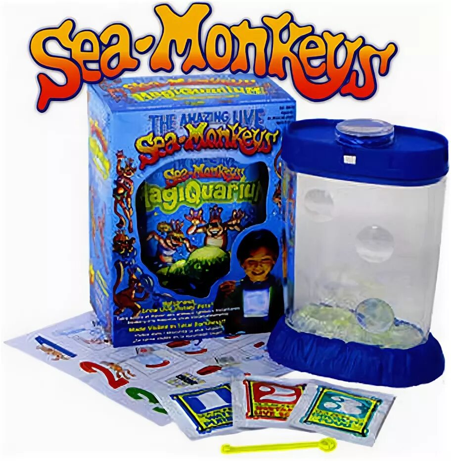 Морские обезьянки купить. Аквариум Симанкис. Морские обезьянки в аквариуме. Морские обезьянки набор. Аквариум с обезьянками.