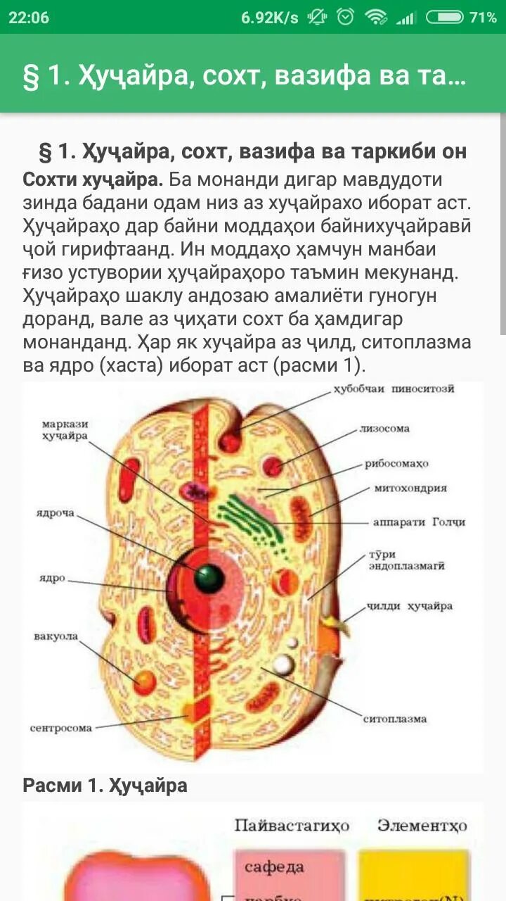 Китоби биология синфи 10. Китоби биология синфи 9. Биология синфи 9. Иконка 9 лет. Биология хучайра.