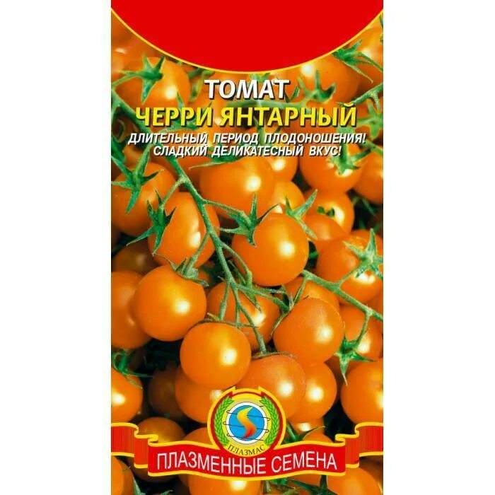 Янтарный 530 семена томат. Томат монисто Янтарное. Томат черри Янтарный. Семена томат монисто Янтарное. Томат монисто розовое