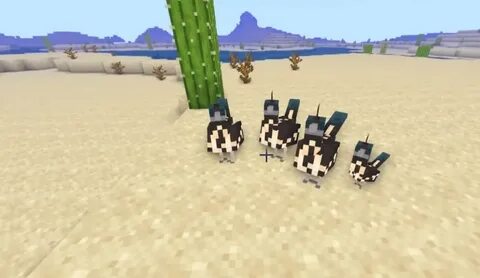 Еноты alex mobs