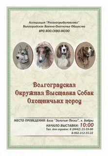 Пригласить собаку